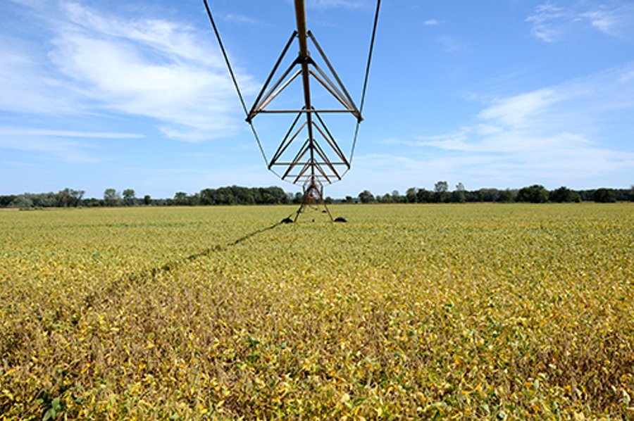 REAL ESTATE AUCTION - 230+/- ACRES IN 2 TRACTS IN STARKE COUNTY